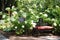 Beautiful flower garden with a Bridal cottage sign next to a bench