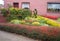 Beautiful flower garden at the red brick house, landscaped garden plots. Bright yellow, red, pink flowers in a beautiful bed of