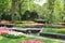 Beautiful flower garden with tulips and pond and green in the keukenhof gardens
