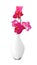 Beautiful flower Orchid, pink phalaenopsis in vase isolated