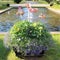 Beautiful flower plants outside Norrbotten`s museum in LuleÃ¥