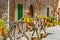 Beautiful flower pots, colorful flowers in spanish village Valldemossa, Mallorca