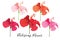 Beautiful flower set. Tropical flowers bright color collection. Hibiscus flower realistic vector image in various color