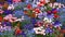 Beautiful flowerbed of different types of flowers such as daisies, violets, close-up, selective focus