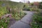 A beautiful flowering autumn garden