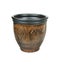 Beautiful flowerpot isolated