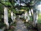 Beautiful flowers adorn the columns and archways of Anacapri