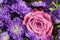 Beautiful flowers background. Aster flowers and pink rose.