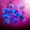 Beautiful flowers blue orchids