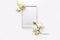 Beautiful flowers composition. Blank frame for text, white flowers on white background.