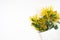 Beautiful flowers composition. Branches flowers mimosa on white background. Valentines Day, Easter, Birthday, Mother`s day. Flat