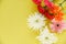 Beautiful flowers decorate on yellow background top view / Colorful flower various types