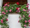Beautiful flowers decorating a balcony. Flowers hanging on the terrace