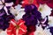 Beautiful flowers, Flower background, Red flower, white flower, purple flower, bouquet