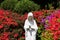 Beautiful flowers in full bloom and Virgin Mary statue