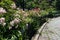 Beautiful Flowers and Green Plants at Stuyvesant Square Park in the Gramercy Park Neighborhood of New York City