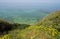 Beautiful flowers and herbs on the cliff upon Mediterranean sea