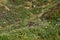 Beautiful flowers and herbs on the cliff upon Mediterranean sea