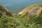 Beautiful flowers and herbs on the cliff upon Mediterranean sea