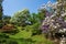 Beautiful flowers landscape in the botanical garden of Villa Taranto in Pallanza, Verbania, Italy.