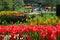 Beautiful flowers, many tulips seen in the Keukenhof Park, in spring season, in Holland