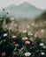 Beautiful flowers on Mount Prau, Wonosobo, Central Java, Indonesia