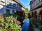 Beautiful flowers and picturesque canal in Wissembourg