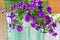 Beautiful flowers purple spotted petunias Night Sky in hanging pots for cafe or restaurant decoration.