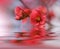 Beautiful flowers reflected in the water, spa concept.Spa treatment. Spa massage. Wellness spa.Spring Nature Background.Colorful.