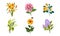 Beautiful Flowers Set, Daffodil, Lily of the Valley, Lilac, Dahlia, Vector Illustration