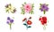Beautiful Flowers Set, Lily, Peony, Poppy, Gerbera Vector Illustration