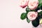 Beautiful Flowers in a Vase Spring Background White and Pink Flowers on Pink Background Copy Space Horizontal Pink Roses and