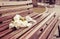 Beautiful flowers. White tulip bouquet on bench