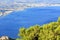 Beautiful fluffy fir branch with cones under the golden sun against the backdrop of the sea of blue Corinthian Gulf