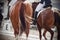 A beautiful fluffy fluttering tail of a horse