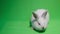 Beautiful fluffy white rabbit isolated on a background of chromakey. Bunny on a green background