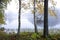 Beautiful fog clad natural lake surrounded by trees and forest in hilly landscape