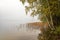 Beautiful fog clad natural lake surrounded by trees and forest in hilly landscape