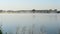 Beautiful fog floats in morning above water surface of a lake