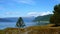 Beautiful footage of serene fjord and snow topped mountain landscape with blue water and sky. Pine tree and moss covered rock