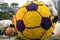 Beautiful football made up of flower in hk