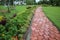 Beautiful footpath in a park with colorful flowers