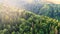 Beautiful forest aerial footage. Sunny magical Powerful trees and moss in the morning time, Magnificent sunrise in the