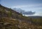 A beautiful forest on a hillside. Autumn wood scenery in the Norwegian mountains.