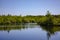 Beautiful forest lake in the Netherlands, Maasduinen. Panoramic view of beautiful lake landscape in Limburg