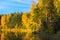 Beautiful forest lake old quarry on a clear autumn day