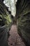 Beautiful forest landscape with the big green mossy canyon on the ledges pass in Cuyahoga Valley near Cleveland, Ohio, USA