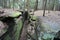 Beautiful forest landscape with the big green mossy canyon on the ledges pass in Cuyahoga Valley near Cleveland, Ohio, USA