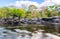 Beautiful forest and rapids river in national park