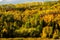 Beautiful forest ridge covered with trees in full autumn bloom i